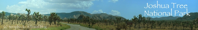 Joshua Tree National Park