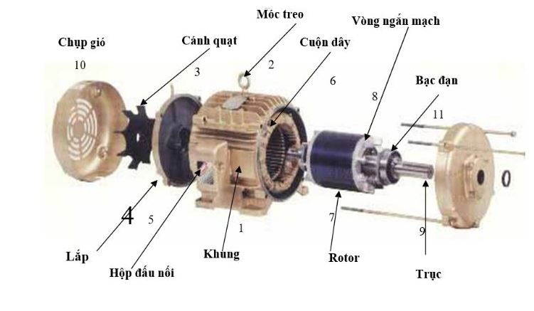 Động cơ điện