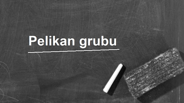 Pelikan grubu