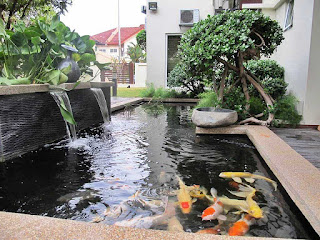 Garden and Natural Minimalist Home Pool