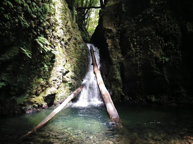 Salto do Cagarrao (Azores)