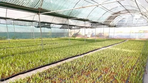 Ninh Thuận đẩy mạnh ứng dụng khoa học công nghệ trong phát triển kinh tế, sản xuất