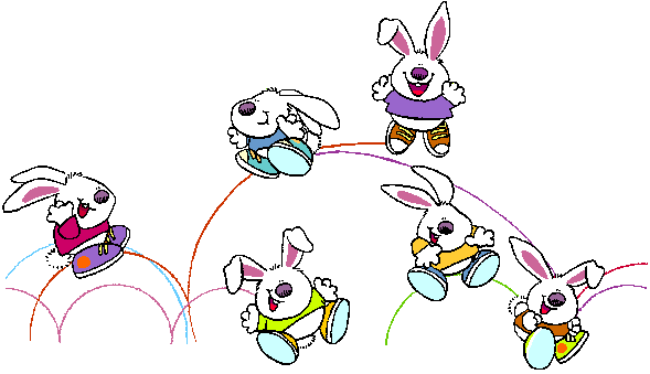 coelhos1