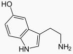 Serotonin molecular structure