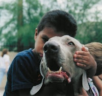 Boy with dog