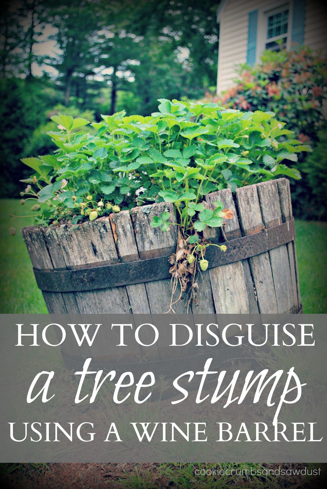 Cookie Crumbs &amp; Sawdust: how to disguise a tree stump