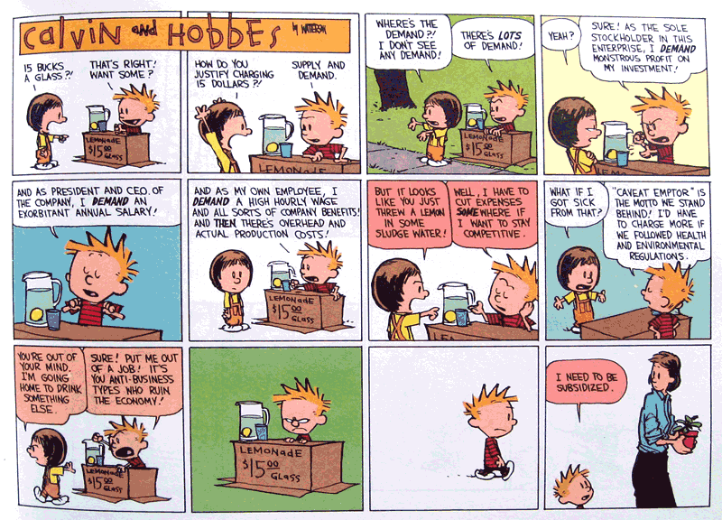 calvin and hobers - the economy