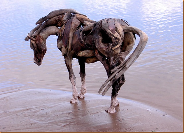 driftwood11