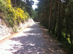 Ruta en bici de Madrid a Segovia por el Camino de Santiago, julio 2012