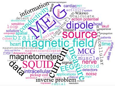 A word cloud derived from "Biomagnetism: The First Sixty Years."