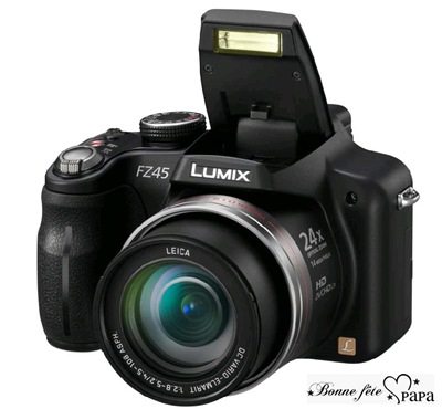 Panasonic Lumix DMC-FZ45