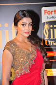 Shriya Sizzling in saree at IIFA Utsavam-thumbnail-7