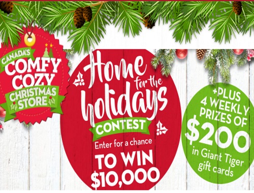 Giant Tiger Home For The Holidays Contest