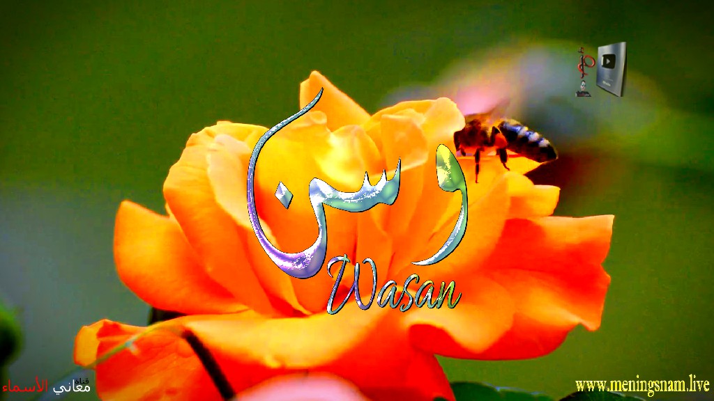 معنى اسم, وسن, وصفات, حاملة, هذا الاسم, Wasan,