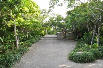 DSC 0980