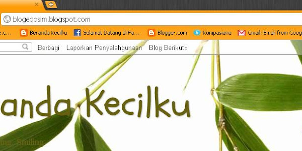 Dinamic Views, Ekstensi Blog pada Google Chrome