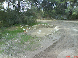 balsa agua pinares de Zuera jabali