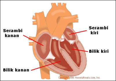 http://faktabukanopini.blogspot.com/