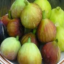 Anjeer Fruit Benefits