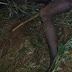 Sodomy suspect lynched in Kibwezi