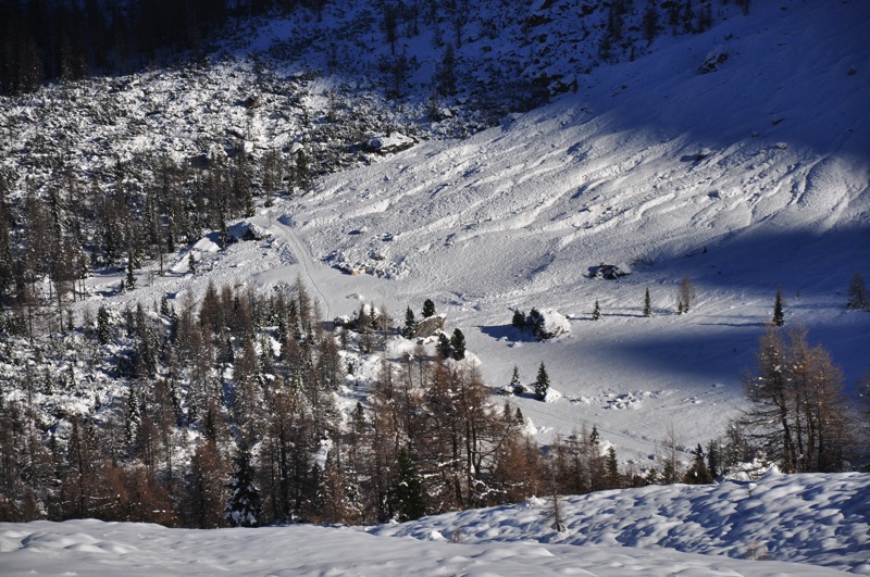 DSC 4242