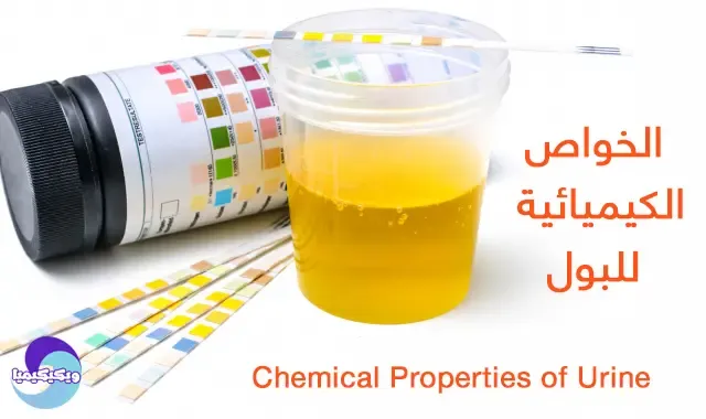 Chemical Properties of Urine