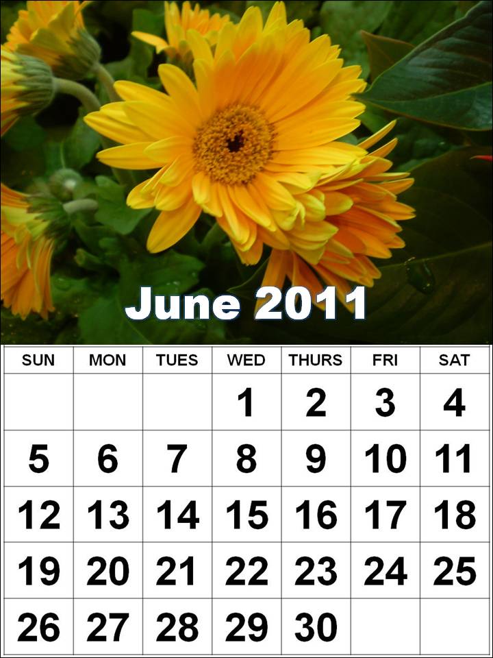 june 2011 calendar images. June 2011 calendar #14