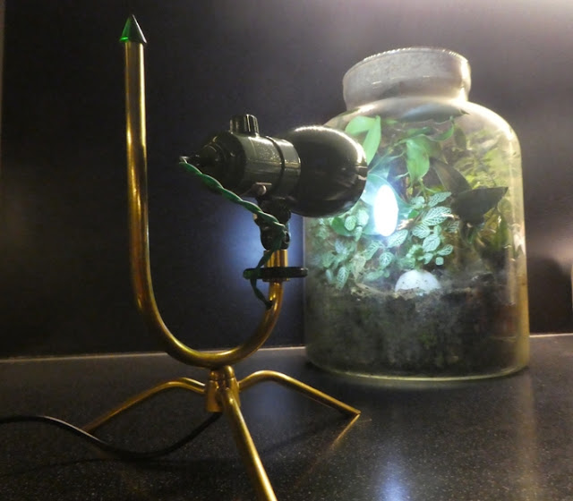 primavera, printemps, vert, jardin, singer, machine à coudre, jouy le chatel, éclairages, lampe, lampesgrichard, richard, grichard, g’richard, vintage, ancien, retro, atelier, désign, industriel, édison, brocante, loft, dans le noir, ampoule
