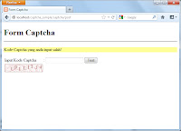 captcha invalid input error message