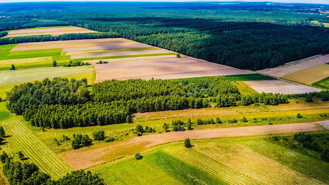 Lasochów w województwie Świętokrzyskim