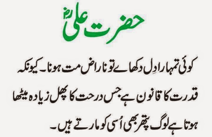 Image Result For Urdu Quotes Eid