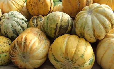 Cantaloupe fruits