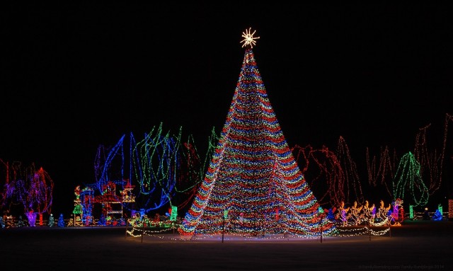 50,000 lights adorn this tree at the Kiwanis Holiday Lights in Mankato, Minnesota! Image courtesy of Family Rambling.