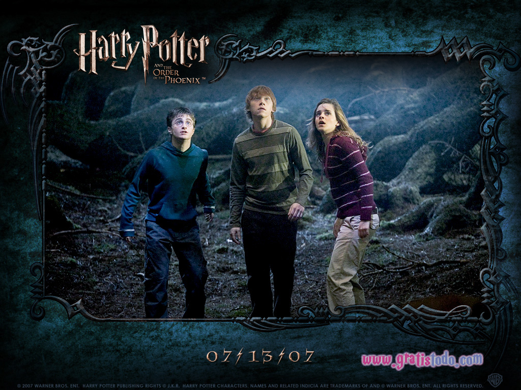 Poster Harry Potter y la orden del fénix 33x47cm – Posters y Cuadros
