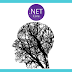 What Is New in ASP.NET Core 2.0?