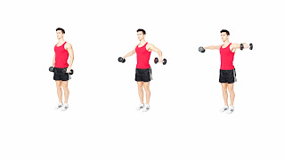 5 best shoulder exercises for beginners in gym(part 2) - fitness club