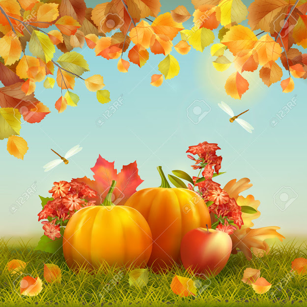Autumn Vector Thanksgiving Card With Harvest Pumpkins Fallen Leaves Tree  Branches Dragonfly