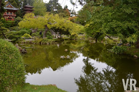 Japanese Tea Garden San Francisco