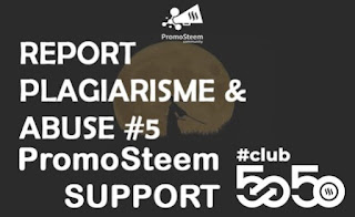 report plagiarisme and abuse club5050