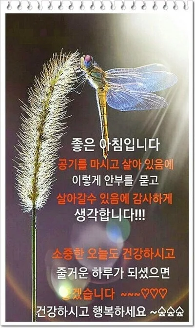 아침인사 이미지