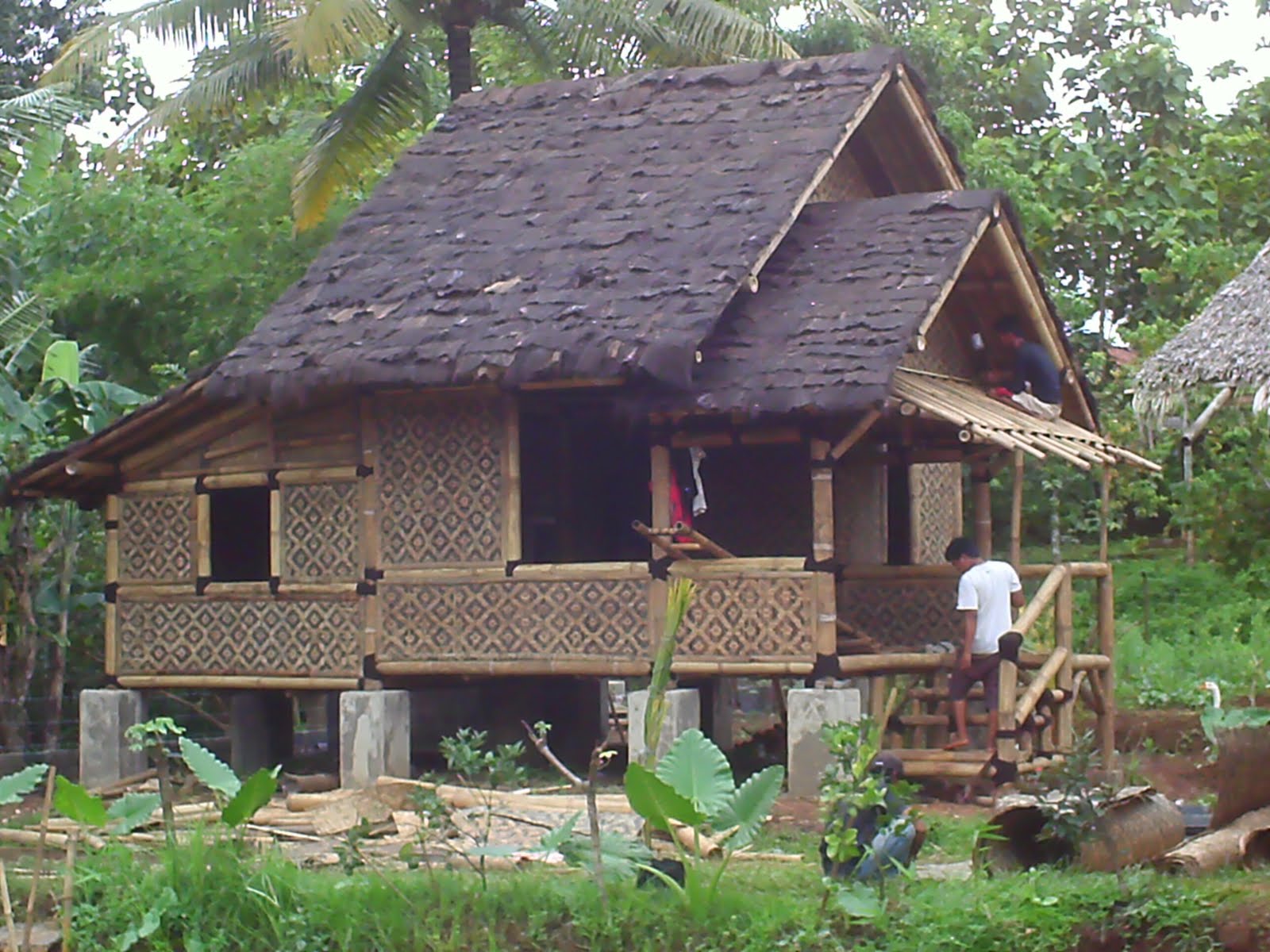 Contoh Desain  Rumah  Bambu  Minimalis Modern Terbaru 