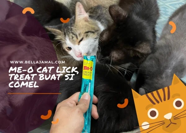 Snack Kucing Terbaik Me-O Cat Lick, Treat Buat Si Comel