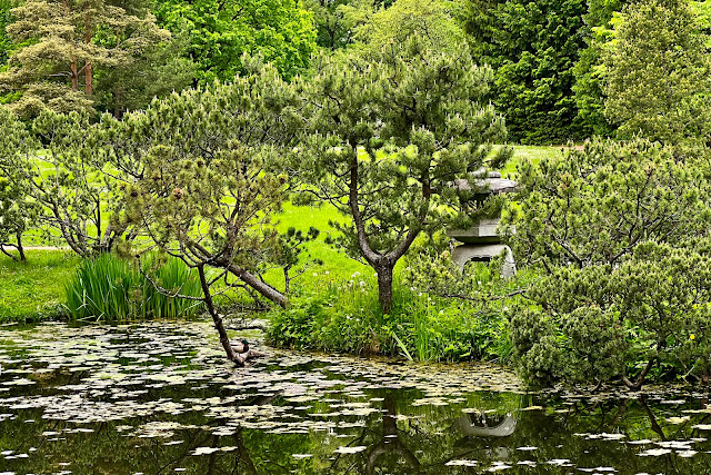 Ботанический сад, Японский сад, Пруд-бумеранг