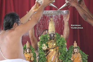 Sri Parthasarathy Perumal, Dhavana Utsavam, Thirumanjanam, Purappadu,  Triplicane,  Purappadu, Thiruvallikeni, Utsavam, 