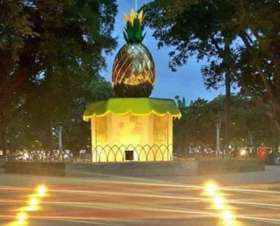 Foto terbagus Nanas Madu di Alun-alun Pemalang 