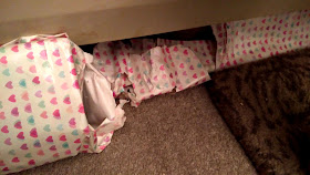 kitten verses wrapping paper