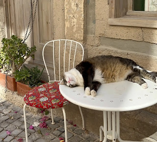 gata tumbada en una mesa en el exterior