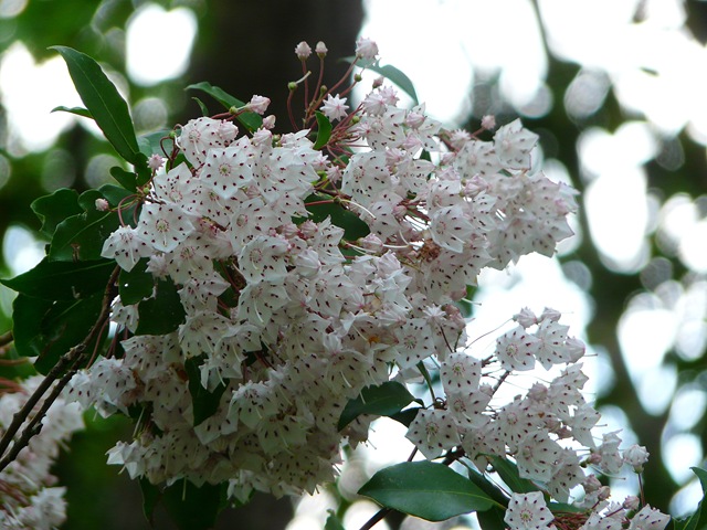 P1040734