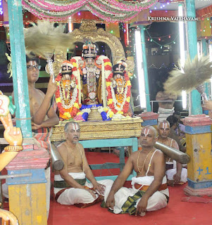 Narasimhar Perumal, Azhagiya Singar, Theliyasingar Maasi , Purappadu,  Trplicane,  Purappadu, Thiruvallikeni, Utsavam, 