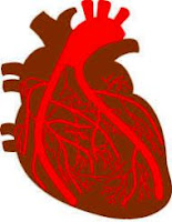 structure of arteries